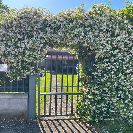 Garda Art&Garden Villa Volta Mantovana Ngoại thất bức ảnh