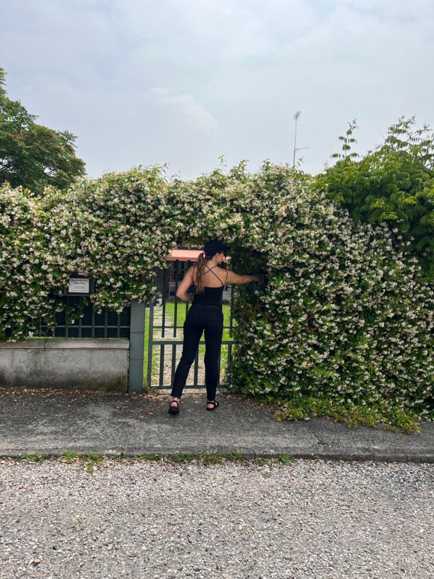 Garda Art&Garden Villa Volta Mantovana Ngoại thất bức ảnh